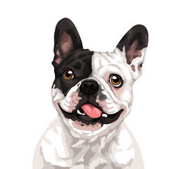 french bulldog portrait