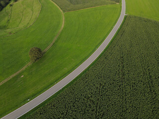 Aerial view of a curved road in the landscape 