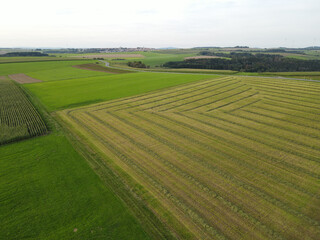 Mowed and harvested agriculture fields in the countryside in late summer 