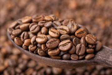 Dark roasted coffee beans in wooden spoon. Background of fresh roasted coffee grain