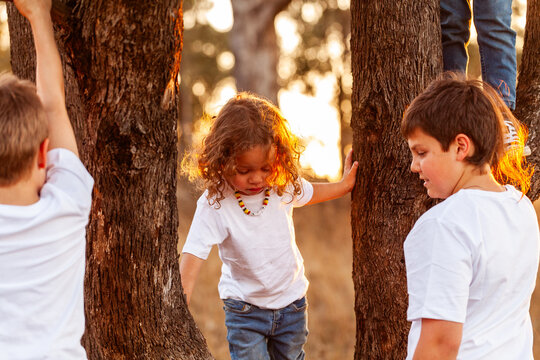 Aboriginal kids playing in tree at sunset