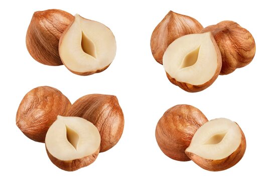 Hazelnut isolated on white background. Collection