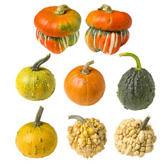 collection of vegetables isolated wonderful dwarf decorative pumpkin for interior decorationon a white background