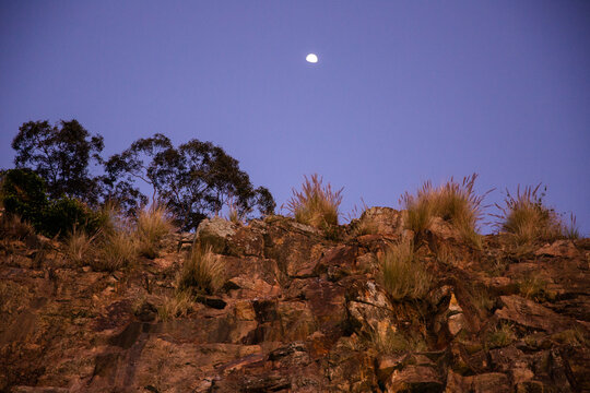 looking at the top of the kangaroo point cliffs at night