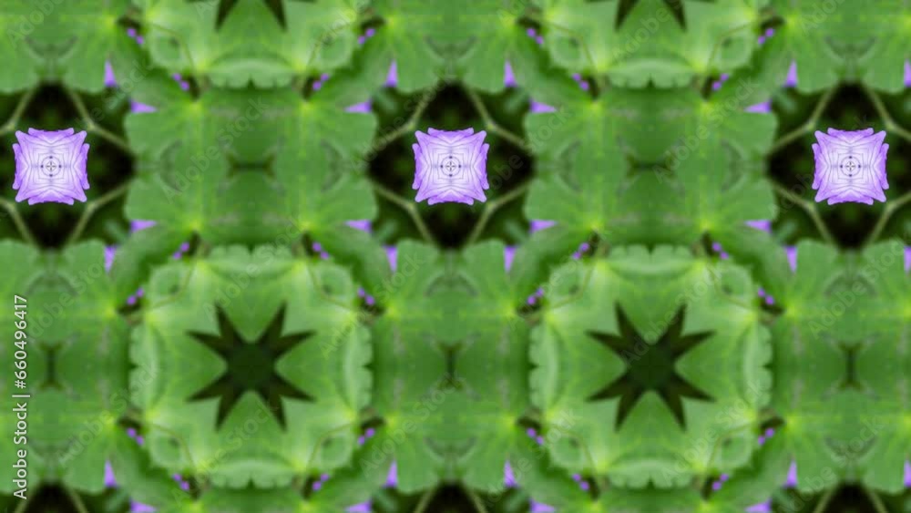 Poster abstract kaleidoscope background video. psychedelic seamless loop background.