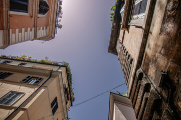Rome look up