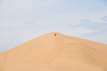Fototapeta na wymiar almost reaching the top of sand dunes 
