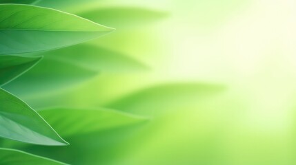 Background of green nature leaf in garden at spring summer seasons. Generative AI