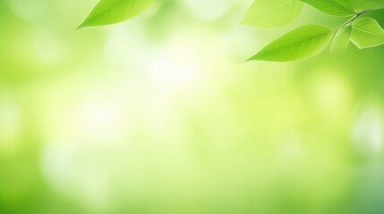Fototapeta na wymiar Background of green nature leaf in garden at spring summer seasons. Generative AI