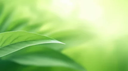 Zelfklevend Fotobehang Background of green nature leaf in garden at spring summer seasons. Generative AI © tonstock
