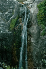 Cascata na montanha, floresta verde