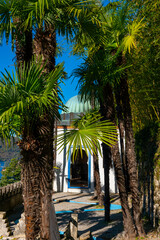 Arabic House and Patio with Palm Tree and Sunlight in Park Scherrer in Morcote, Ticino, Switzerland.