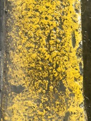 fondo rugoso abstracto color amarillo