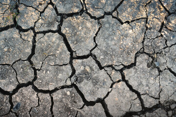 Cracked soil from drought. Background photo for global warming.
