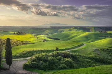 Foto auf Leinwand Countryside landscape in Volterra. Tuscany, Italy © stevanzz