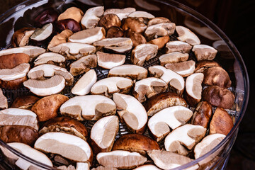 Mushrooms lie on a drying grid in the electric dryer.