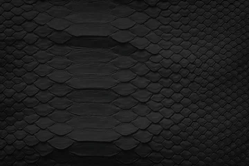 Poster black texture of python skin, leather background with natural pattern of scales © dmitr1ch