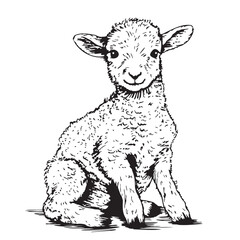Seated lamb sketch, hand drawn in doodle style Farm animals Vector illustration © BigJoy