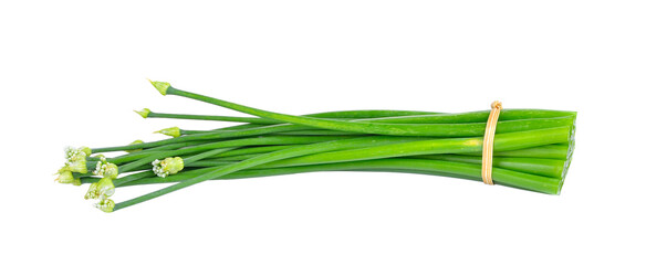 Onion flower on transparent png