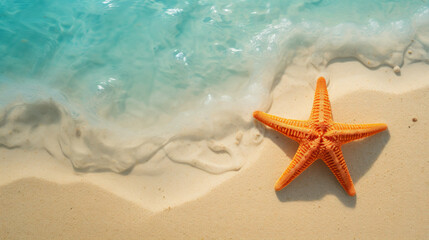Fototapeta na wymiar Starfish on sand. Top view with copy space for banner. Vacation and travel concept.