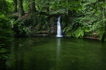 Cascata na floresta verde.  AI generative
