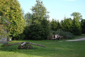 A close up on a stump of an old tree located next to a dirt path or walkway leading next to a dense forest or moor seen on a sunny summer day next to a wooden fence and a vast field or meadow