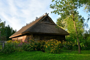 Fototapeta premium A view of an old wooden hut, shack, or stable surrounded with growing flowers, herbs, a wooden fence, and ancient farming equipment seen next to a well maintained lawn, pastureland, or meadow