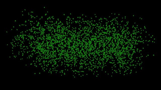 motion video with the particles