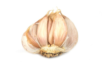 the fresh young garlic bulb