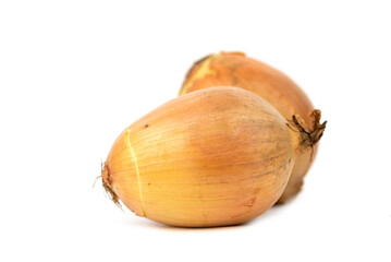 the large fresh yellow onion