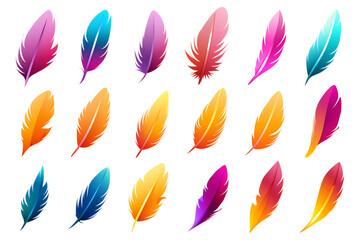 feather, vector, bird, illustration, icon, set, nature, flower, silhouette, pattern, art, pen