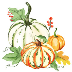 pumpkin and leaves isolated hand drawn illustration on transparent background
