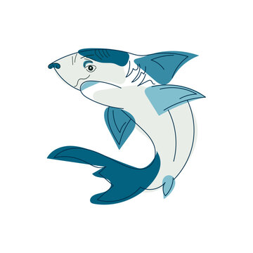 Portrait of colorful blue and white shark. Line art style. Bright vector illustration