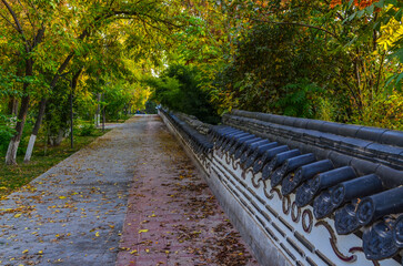 traditional Korean style hedge in Seoul National park in Tashkent, Uzbekistan