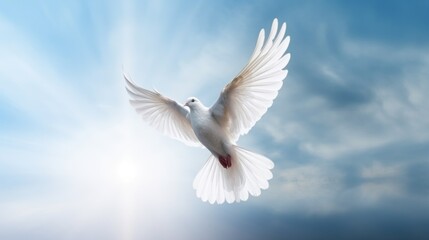 Dove in the air with wings wide open. International Day of Peace background - obrazy, fototapety, plakaty