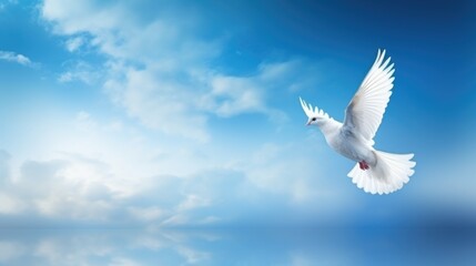 Dove in the air with wings wide open. International Day of Peace background
