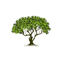rooted tree logo design. banyan tree with circular shape