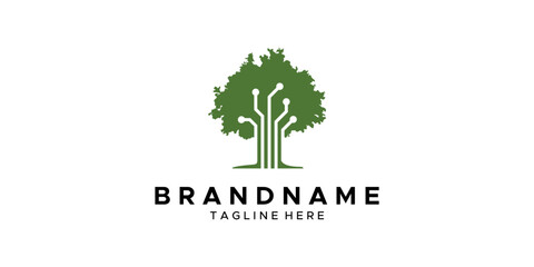 a graphic image on the theme of tree networks, on a white background. graphic vector base.