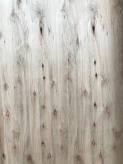 textura de una placa de madera con nudos - obrazy, fototapety, plakaty