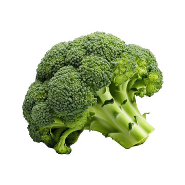 Broccoli isolated on white transparent background, PNG