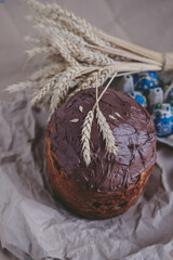 Easter cake, easter eggs and ears of wheat on a gray background