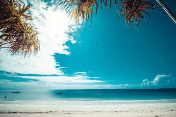 tropical island with palm trees