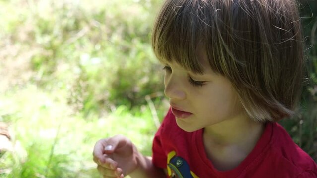 a child is harvesting herbs in the forest