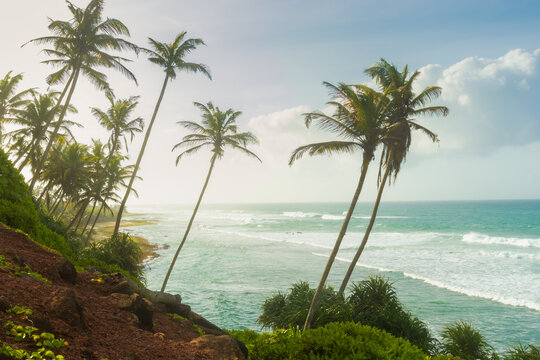Morning sunrise at a gorgeous beach in the southern beach of Sri Lanka. Perfect summer day at Mirissa, Sri Lanka.