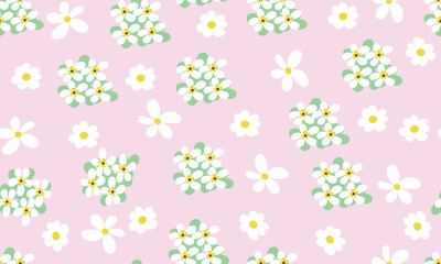 seamless pattern with white daisies and champa flowers with pink background