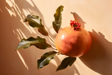 Pomegranate Shadows and Leaves in Light Orange and Gold wall