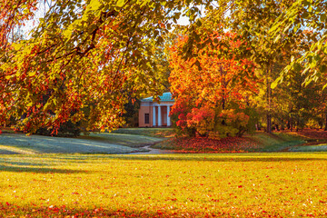 Obraz premium Colorful autumn park on a sunny day. Beautiful autumn landscape with yellow and red trees.