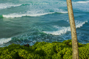 Waves crashing on to the beach at coconut tree hills, Mirissa in southern beach of Sri Lanka