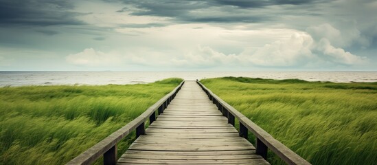 Obraz premium A wooden pathway on a cloudy day in a coastal field With copyspace for text