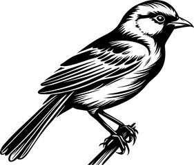 Obraz premium Sparrow Silhouette Icon Illustration
